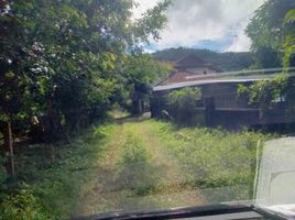 ขายที่ดิน ใน ถลาง ภูเก็ต, ป่าคลอก, ถลาง, ภูเก็ต