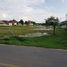  Land for sale in Wiang Yong, Mueang Lamphun, Wiang Yong