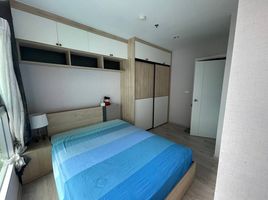 1 Schlafzimmer Wohnung zu verkaufen im Plum Condo Ramkhamhaeng, Suan Luang
