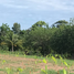  Grundstück zu verkaufen in Nam Yuen, Ubon Ratchathani, Dom Pradit, Nam Yuen