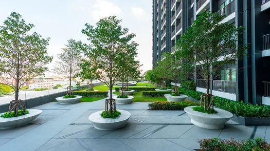 图片 1 of the Communal Garden Area at The Tree Rio Bang-Aor