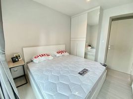 2 Schlafzimmer Appartement zu vermieten im Life Asoke Rama 9, Makkasan, Ratchathewi, Bangkok, Thailand