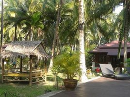 6 Bedroom Villa for sale in Surat Thani, Ko Pha-Ngan, Ko Pha-Ngan, Surat Thani