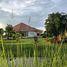 3 Bedroom Villa for sale in Ngio, Thoeng, Ngio
