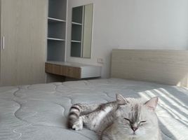 1 Schlafzimmer Wohnung zu verkaufen im BRIXTON Pet and Play Sukhumvit 107, Bang Na