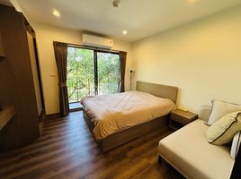 Studio Apartment for rent at La Habana, Nong Kae