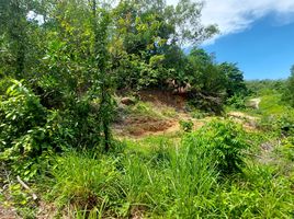  Land for sale in Laguna Beach, Choeng Thale, Choeng Thale