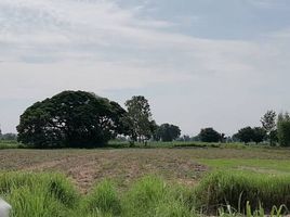  Land for sale in Phu Khiao, Chaiyaphum, That Thong, Phu Khiao