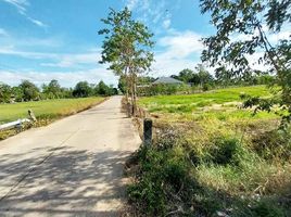  Land for sale in Uthai Thani, Nong Chang, Nong Chang, Uthai Thani