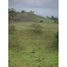  Land for sale in Guatuso, Alajuela, Guatuso