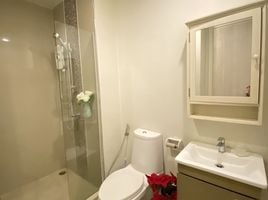 1 Schlafzimmer Wohnung zu verkaufen im Dlux Condominium , Chalong