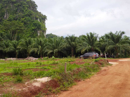  Grundstück zu verkaufen in Mueang Krabi, Krabi, Ao Nang, Mueang Krabi, Krabi