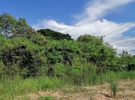  Land for sale in Saraburi, Muang Ngam, Sao Hai, Saraburi
