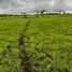  Land for sale in Paberiwai, Sumba Timur, Paberiwai