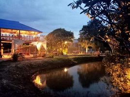 2 Schlafzimmer Haus zu verkaufen in Mae Rim, Chiang Mai, Khi Lek