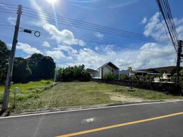  Grundstück zu verkaufen in Thalang, Phuket, Choeng Thale, Thalang