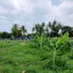  Grundstück zu verkaufen in Mueang Chon Buri, Chon Buri, Nong Ri, Mueang Chon Buri, Chon Buri