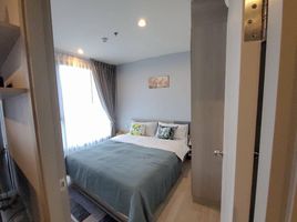 1 Schlafzimmer Appartement zu vermieten im Ideo Mobi Sukhumvit East Point, Bang Na