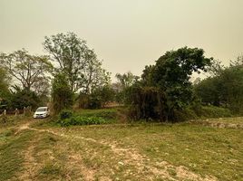  Land for sale in Mae Chan, Chiang Rai, Mae Chan, Mae Chan