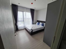 1 Schlafzimmer Wohnung zu vermieten im Life Sukhumvit 62, Bang Chak
