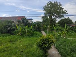  Land for sale in Sala Thammasop, Thawi Watthana, Sala Thammasop