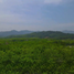  Land for sale in Phuket, Si Sunthon, Thalang, Phuket