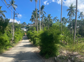  Grundstück zu verkaufen in Koh Samui, Surat Thani, Maenam