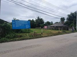  Grundstück zu verkaufen in Saraphi, Chiang Mai, Don Kaeo, Saraphi, Chiang Mai