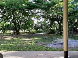  Land for sale in Pak Chong, Nakhon Ratchasima, Khanong Phra, Pak Chong