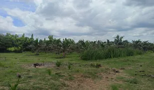 N/A Land for sale in Nong O, Ratchaburi 