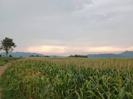  Grundstück zu verkaufen in Kaeng Khoi, Saraburi, Hin Son, Kaeng Khoi, Saraburi