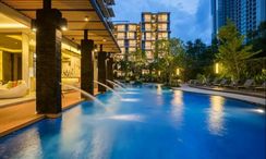 รูปถ่าย 3 of the สระว่ายน้ำ at Altera Hotel & Residence Pattaya