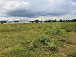  Land for sale in Mueang Nakhon Ratchasima, Nakhon Ratchasima, Nong Rawiang, Mueang Nakhon Ratchasima