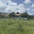  Land for sale in Mueang Chiang Mai Chiang Mai, Suthep, Mueang Chiang Mai, Chiang Mai
