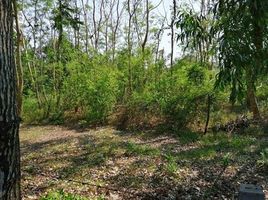  Land for sale in Bang Kruai, Nonthaburi, Bang Khu Wiang, Bang Kruai