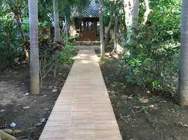 1 Bedroom House for rent in Mae Sot, Tak, Mae Sot, Mae Sot, Tak