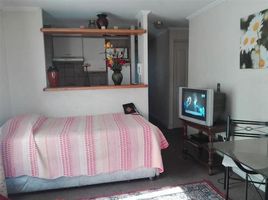 1 Bedroom Apartment for rent at Providencia, Santiago, Santiago