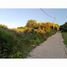  Land for sale in Morocco, Fahs, Fahs Anjra, Tanger Tetouan, Morocco