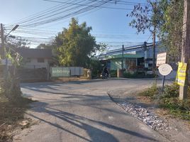  Grundstück zu verkaufen in Doi Saket, Chiang Mai, San Pu Loei, Doi Saket
