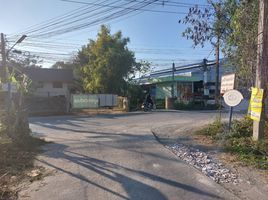  Land for sale in San Pu Loei, Doi Saket, San Pu Loei