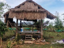  Grundstück zu verkaufen in Tha Yang, Phetchaburi, Khao Krapuk