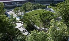 图片 2 of the Communal Garden Area at Life Ladprao Valley