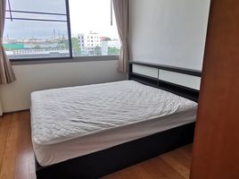 3 Schlafzimmer Appartement zu vermieten im Ficus Lane, Phra Khanong
