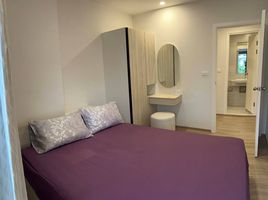 2 Schlafzimmer Appartement zu vermieten im Phyll Phuket by Central Pattana, Wichit