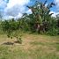  Land for sale in Autazes, Amazonas, Autazes