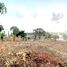  Land for sale in Choeng Thale, Thalang, Choeng Thale