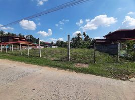  Land for sale in Buri Ram, Lahan Sai, Lahan Sai, Buri Ram