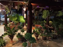 3 Bedroom House for sale in Khon San, Chaiyaphum, Khon San, Khon San, Chaiyaphum