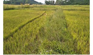 N/A Land for sale in Ngio, Chiang Rai 