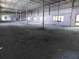  Warehouse for rent in Bang Yang, Krathum Baen, Bang Yang